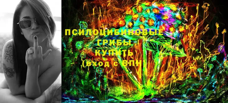 Псилоцибиновые грибы Psilocybe Амурск